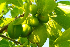 IMG_20230604_145706_1