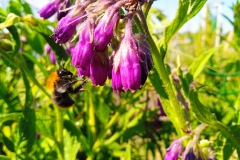 IMG_20230610_165444_1